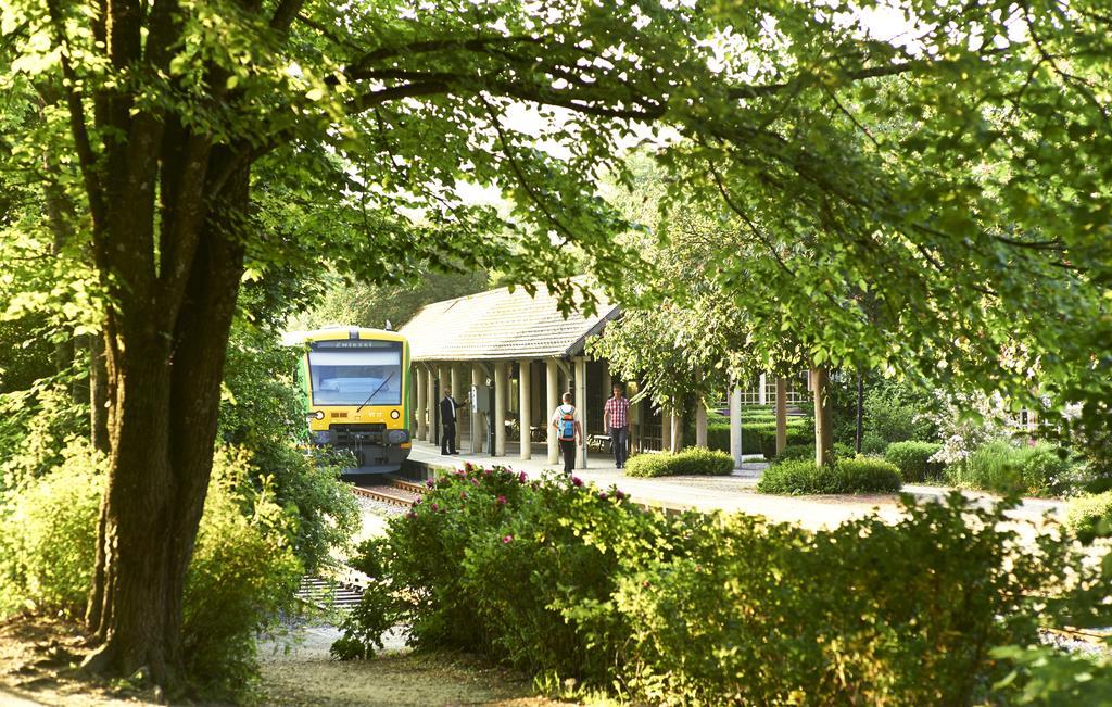 Rehwinkel Hotel Bodenmais Exterior photo